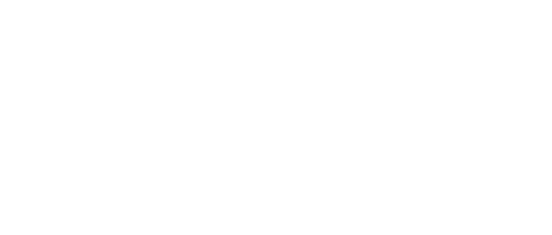 logo the north face png